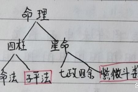 从生辰八字到星座解析，深度解读你的命运轨迹！