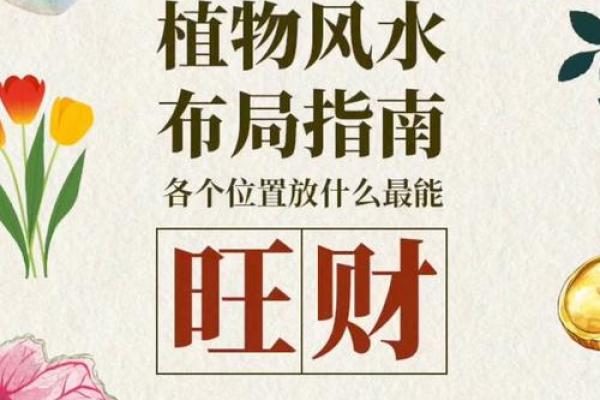 从公司风水入手，打造旺财气场