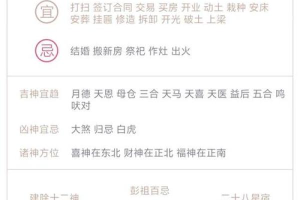 丙子命的特点与命运解析