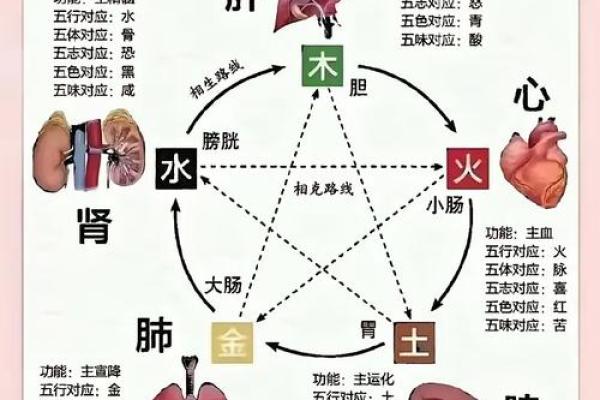 从五行角度分析火命与水命的性格特点