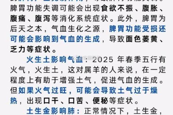 砗磲的五行属性解析：它在风水和健康中的神奇作用