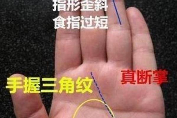 从命理看掌权命：如何解读领导者的命运之道