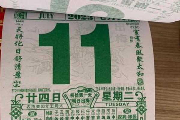 98万年历:穿越时空的日历传奇 98万年历:穿越时空的日历传奇
