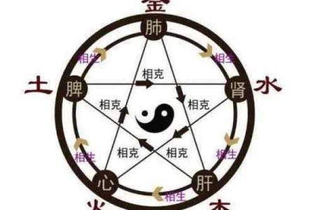 砗磲的五行属性解析：它在风水和健康中的神奇作用