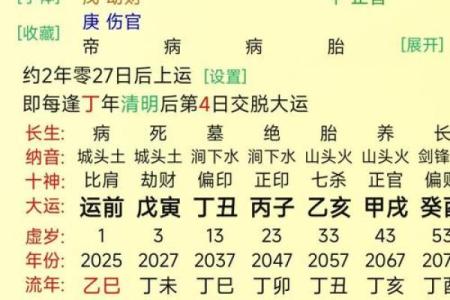 从命理看掌权命：如何解读领导者的命运之道