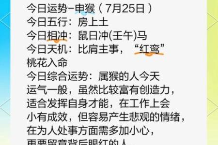 属猴运程全面分析：每月运势波动与应对策略