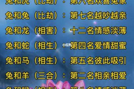属相配对：和是否能相互契合