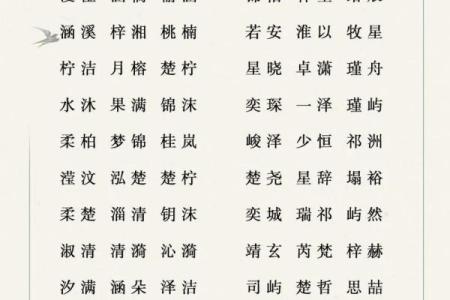 宝宝起名服务价格分析 不同方式的费用对比