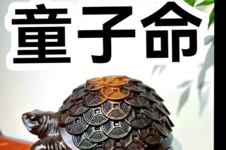 什么样的人容易有童子命特征