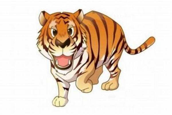 本命年虎男的家庭运势发展如何