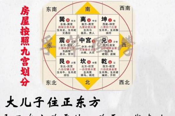 打造和谐家居：李计忠虎年风水布局技巧