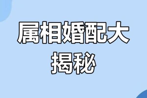 牛与鼠婚姻：性格互补还是生活冲突