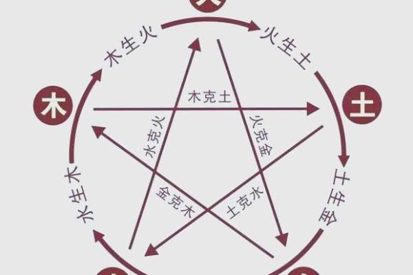 年命与生肖、五行的关系探秘