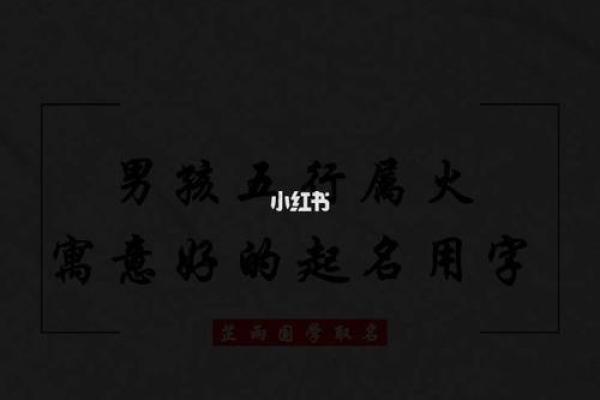 飚字五行属性解析：揭开其深层含义与命理影响