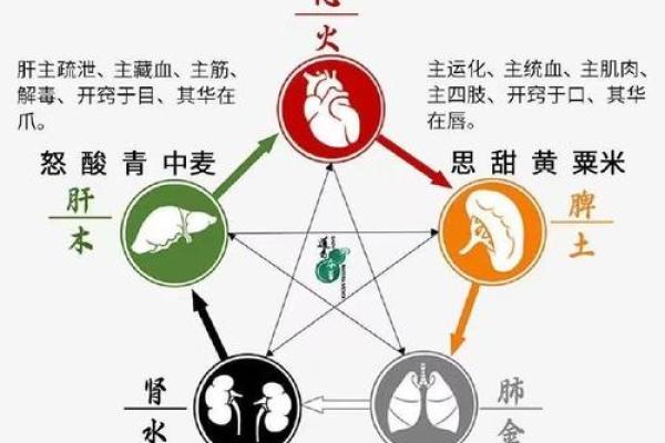 赤五行属性是什么？全面解析赤五行的五大特征