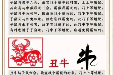 牛与鼠婚姻：性格互补还是生活冲突