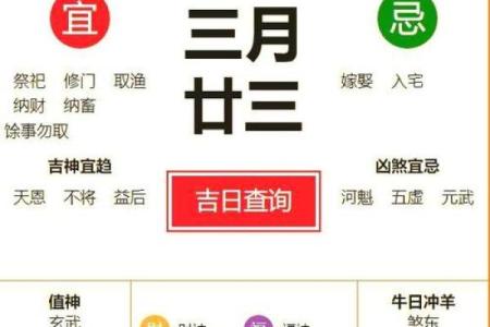 出生者的运势与未来趋势