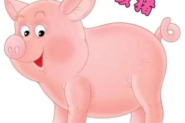 生肖鸡和猪的缘分是否注定 成为理想配对吗