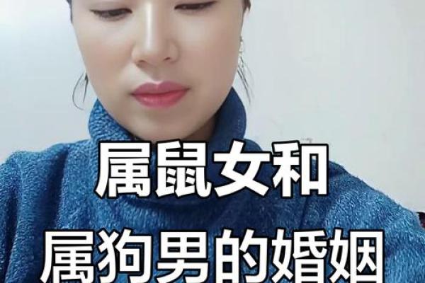 属鼠女和属狗男的星座匹配度如何