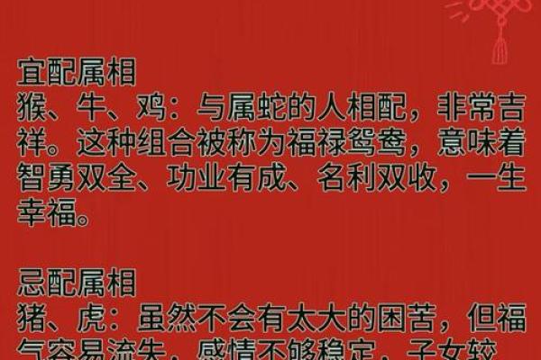 蛇与羊配对的深层次解析 适合做朋友还是情侣