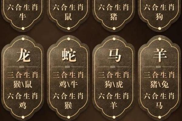 牛蛇配对是否合适？解析生肖配对的和谐与挑战