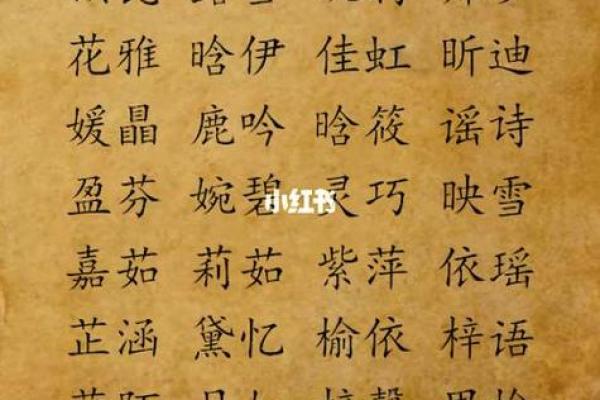 属鼠宝宝起名宝典:最吉利的名字推荐 属鼠宝宝起名宝典:最吉利的名字推荐