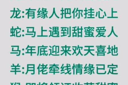 生肖鸡和猪的缘分是否注定 成为理想配对吗