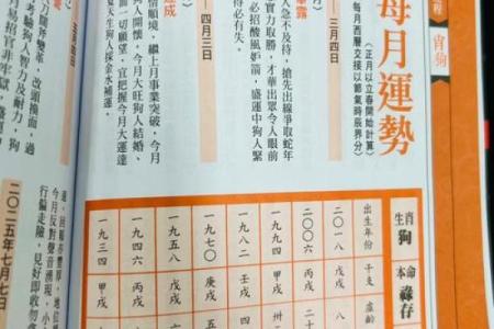 狗人运程详解：每月运势与生活指南