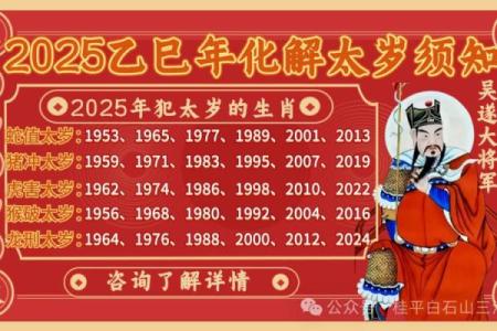 属马人运势全解析