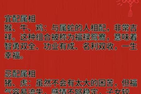 蛇与羊配对的深层次解析 适合做朋友还是情侣