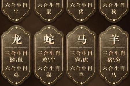 牛蛇配对是否合适？解析生肖配对的和谐与挑战