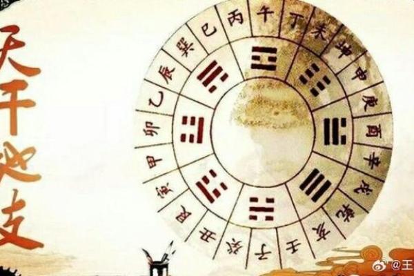 辰出现对命局的独特作用及其预测意义