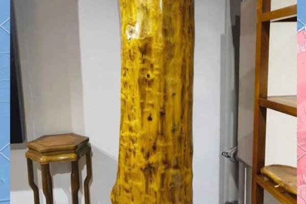 金丝楠木在家居风水中的独特作用解析