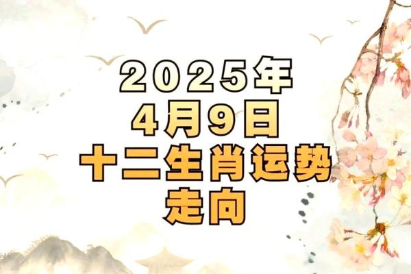 今日运势揭示：你可能错过的机会与潜在的风险