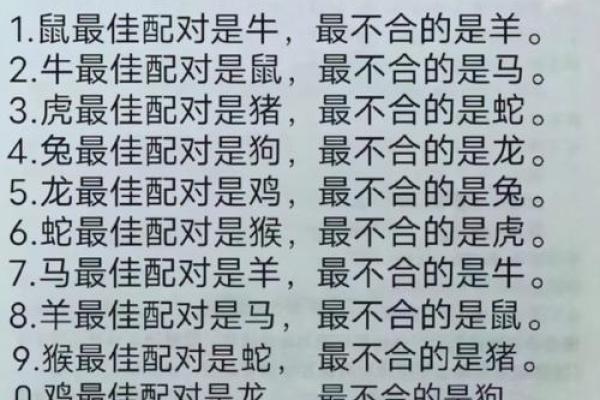 男牛和女狗的婚姻匹配度解析：星座相配与婚姻运势