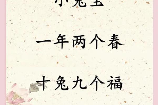 出生的兔子五行是什么？揭秘你的命运密码
