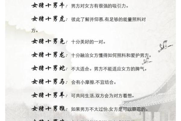 猪兔配对的爱情与婚姻前景