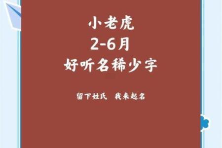 从老虎名字大全中选一个给你的虎咪命名