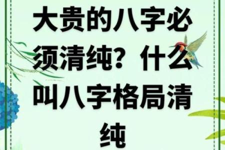 出生的八字分析，掌握未来命运的关键