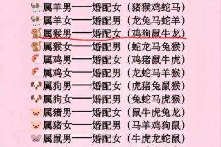 男属马女属鸡的婚姻是否和谐解析