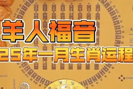 羊生肖运势预测：每月运程变化及应对策略