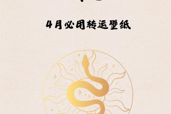 属蛇人每月财运运程分析与建议