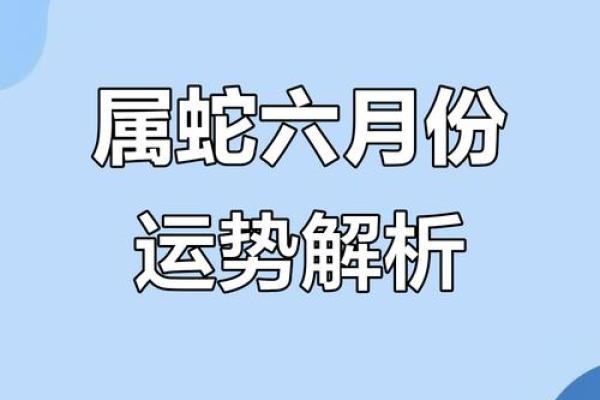 属蛇人每月财运运程分析与建议