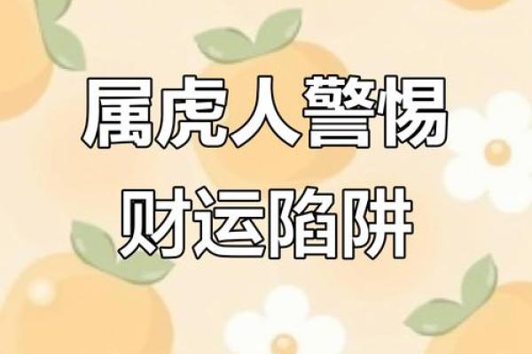 属虎人运势指南：把握机遇，避免陷阱