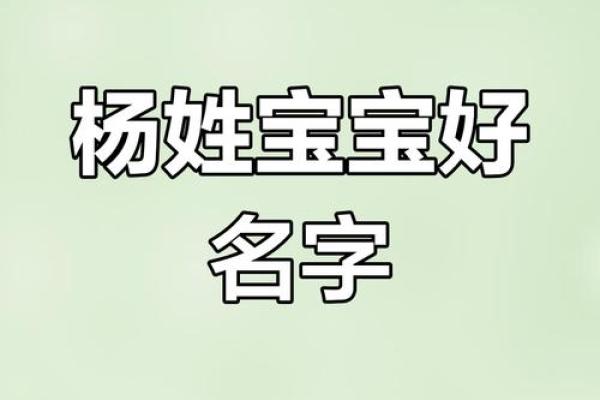为杨姓鸡宝宝命名的传统与现代结合 为杨姓鸡宝宝命名的传统与现代结合