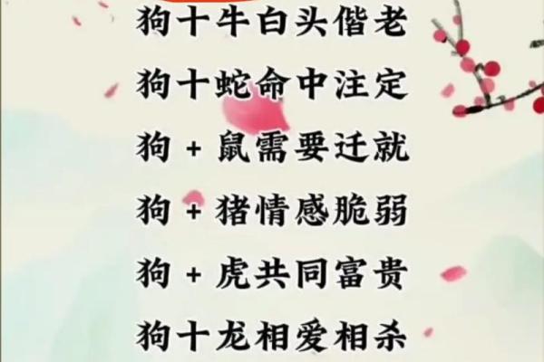 属虎男和属狗女的婚姻匹配度分析