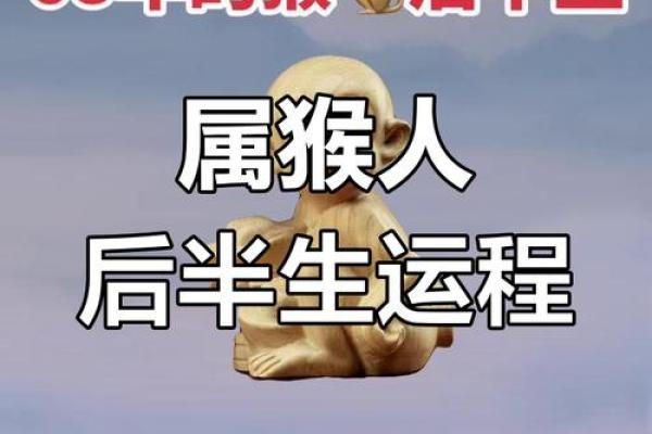 出生猴人的命运走势和运势分析