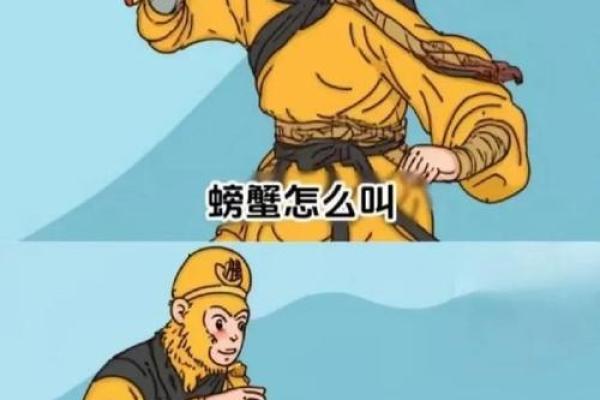 马和牛能否成为理想搭档 马和牛能否成为理想搭档