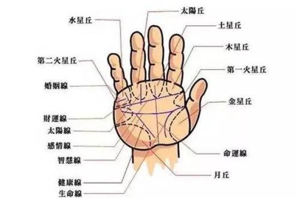 这些手掌特征预示着富贵命运