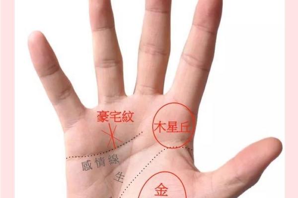 这些手掌特征预示着富贵命运